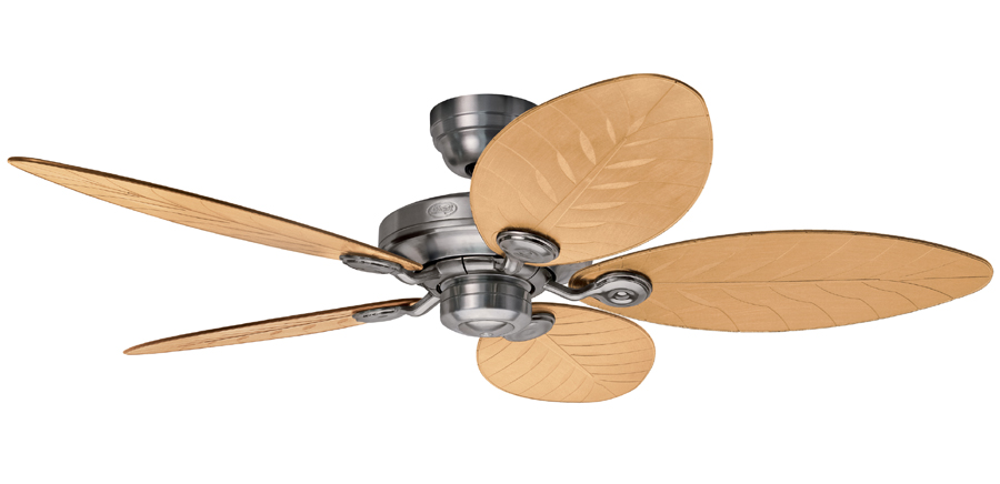 outdoor elements ceiling fan