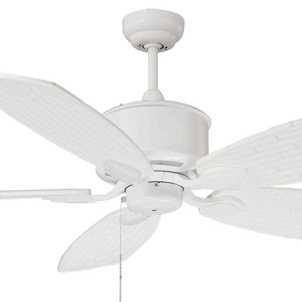 Fanshop Bvb W Polsce Cheap Tropical Ceiling Fan Blades Youtube