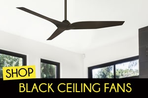 Trendy black ceiling fans