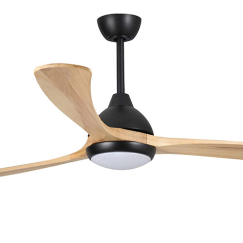 Sanctuary DC Ceiling Fan by Fanco with LED Light - Black with Natural Blades 52" - close up